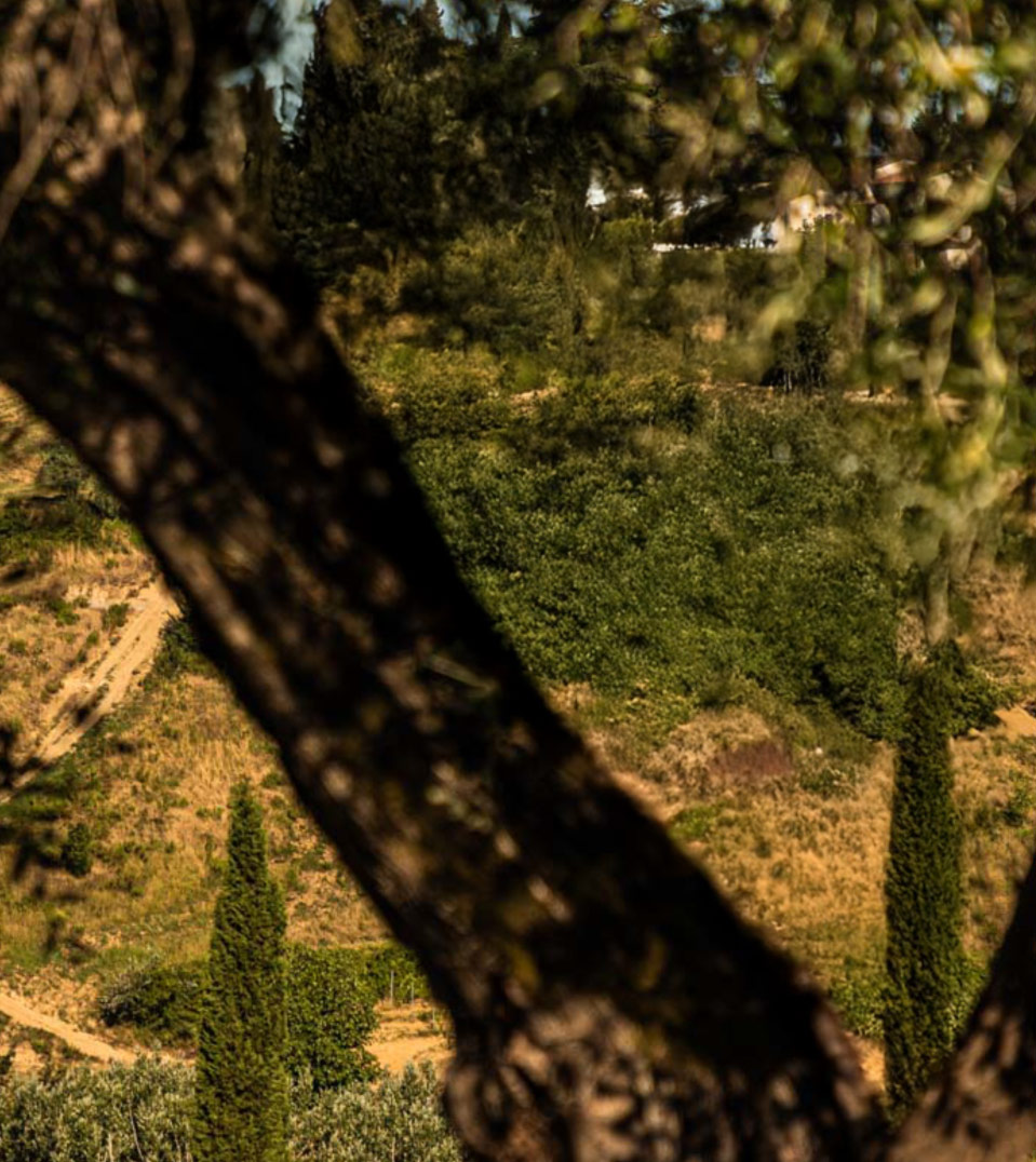 Borghetto Vitae — foto 2